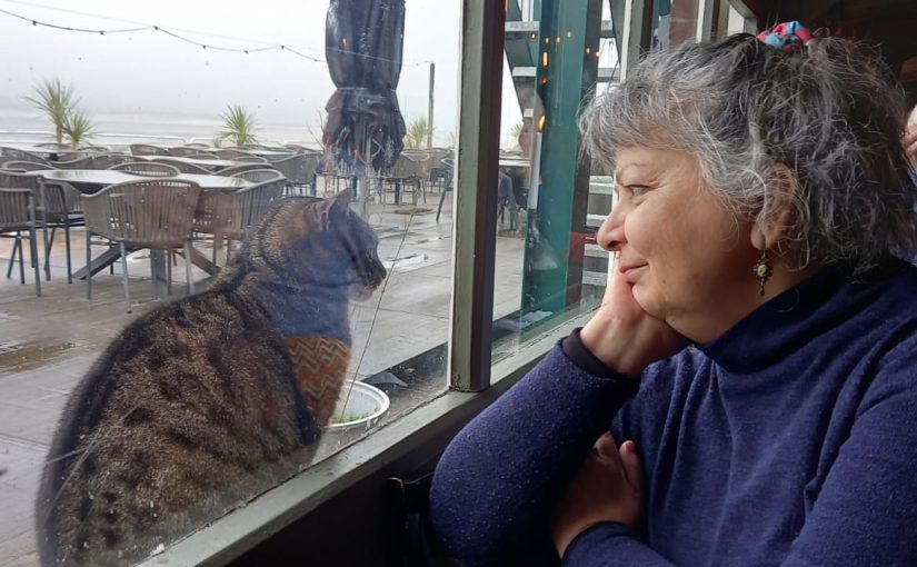 L’écriture dans toutes versions